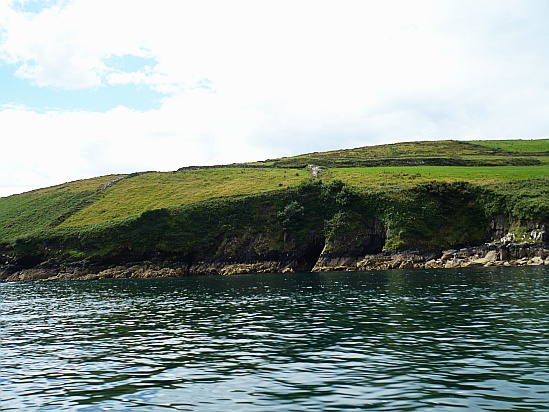 Green coastal scene - Public Domain Photograph