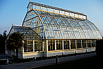 greenhouse