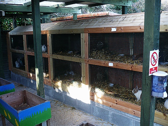 Hutches - Public Domain Photograph