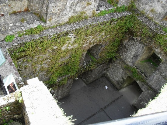 Ivy on walls - Public Domain Photograph