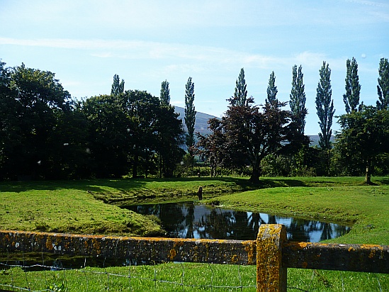 Landscape with trees and fence - Public Domain Photograph