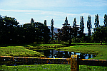 landscape-with-trees-and-fence