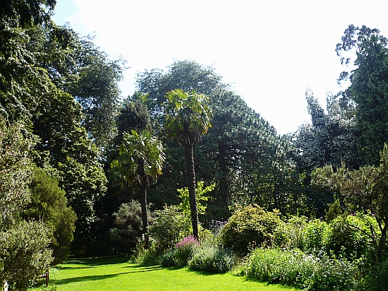 Lawn with trees - Public Domain Photograph