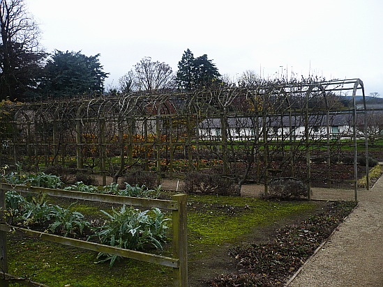 Long tunnel trellis - Public Domain Photograph