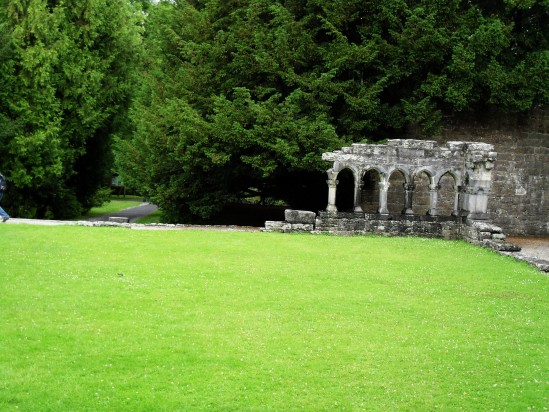 Manicured lawn - Public Domain Photograph