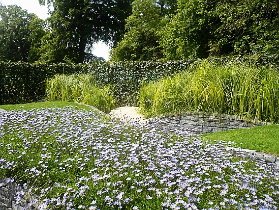 Meadow scene - Public Domain Photograph