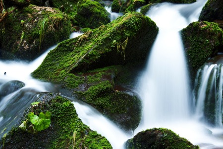 Mossy rocks in river - Public Domain Photograph