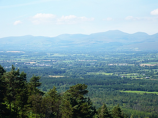 Mountains forest landscape - Public Domain Photograph