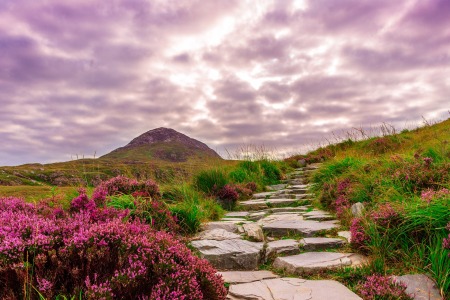 pink purple country scene - Public Domain Photograph