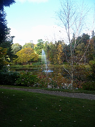 Pond scene - Public Domain Photograph