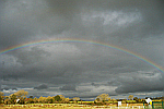 rainbow-in-grey-sky