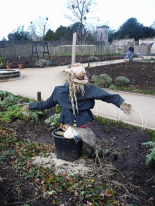 Scarecrow - Public Domain Photograph