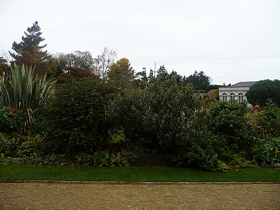 Shrubbery border - Public Domain Photograph