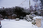 snowscene-in-garden