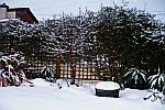 snowy-trellis