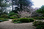 topiary-scene-in-garden