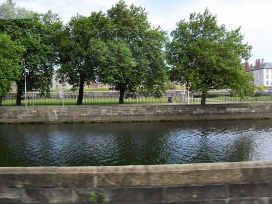 Trees beside river - Public Domain Photograph