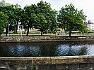 trees-beside-river