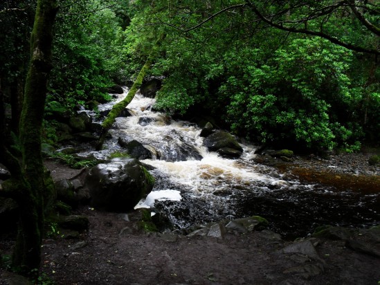 Waterfall and rapids in small river - Public Domain Photograph