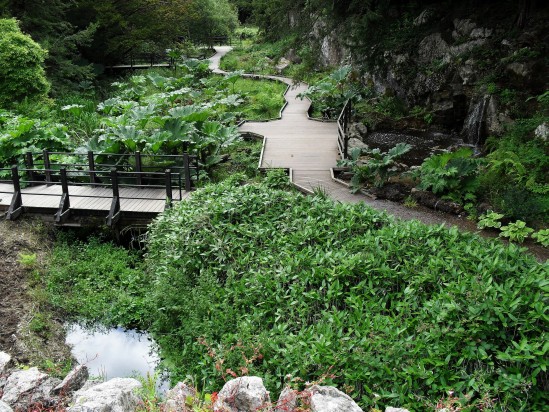 Winding path to river - Public Domain Photograph